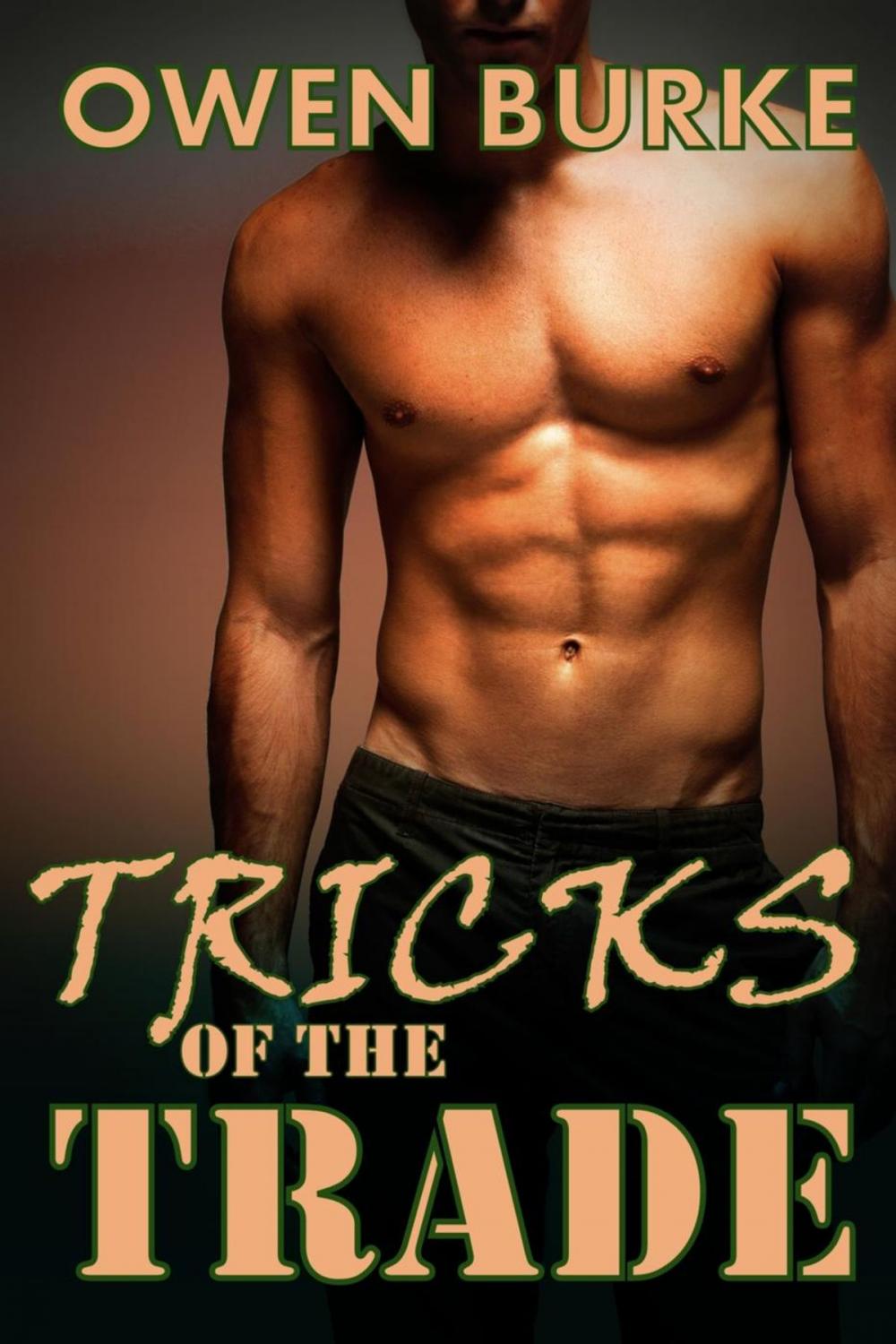 Big bigCover of Tricks of the Trade (Older Man / Younger Man Gay Menage)