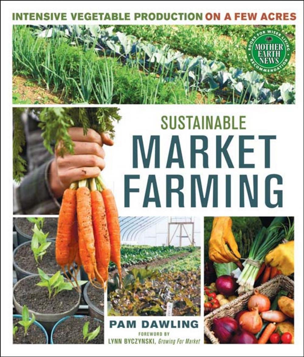 Big bigCover of Sustainable Market Farming