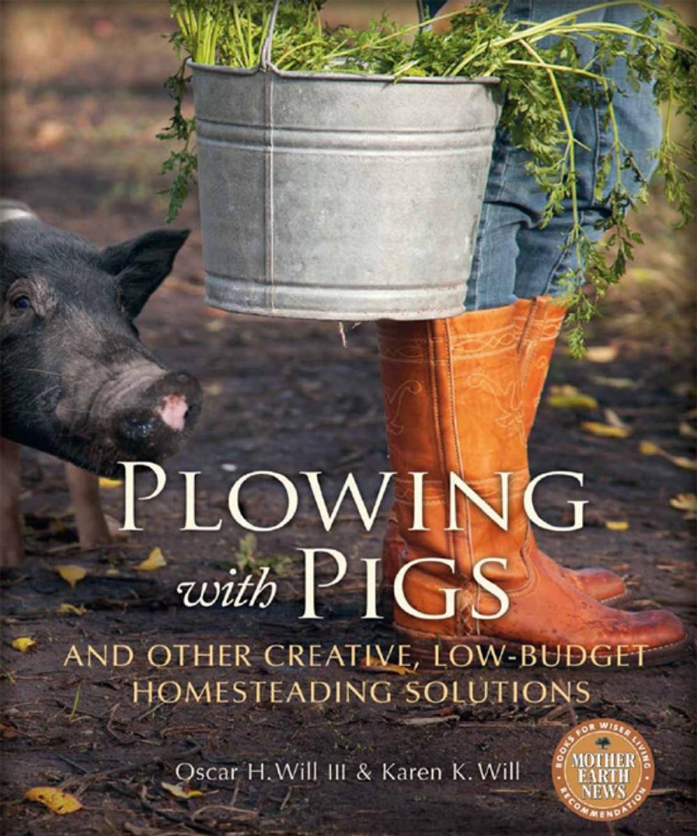 Big bigCover of Plowing with Pigs and Other Creative, Low-Budget Homesteading Solutions