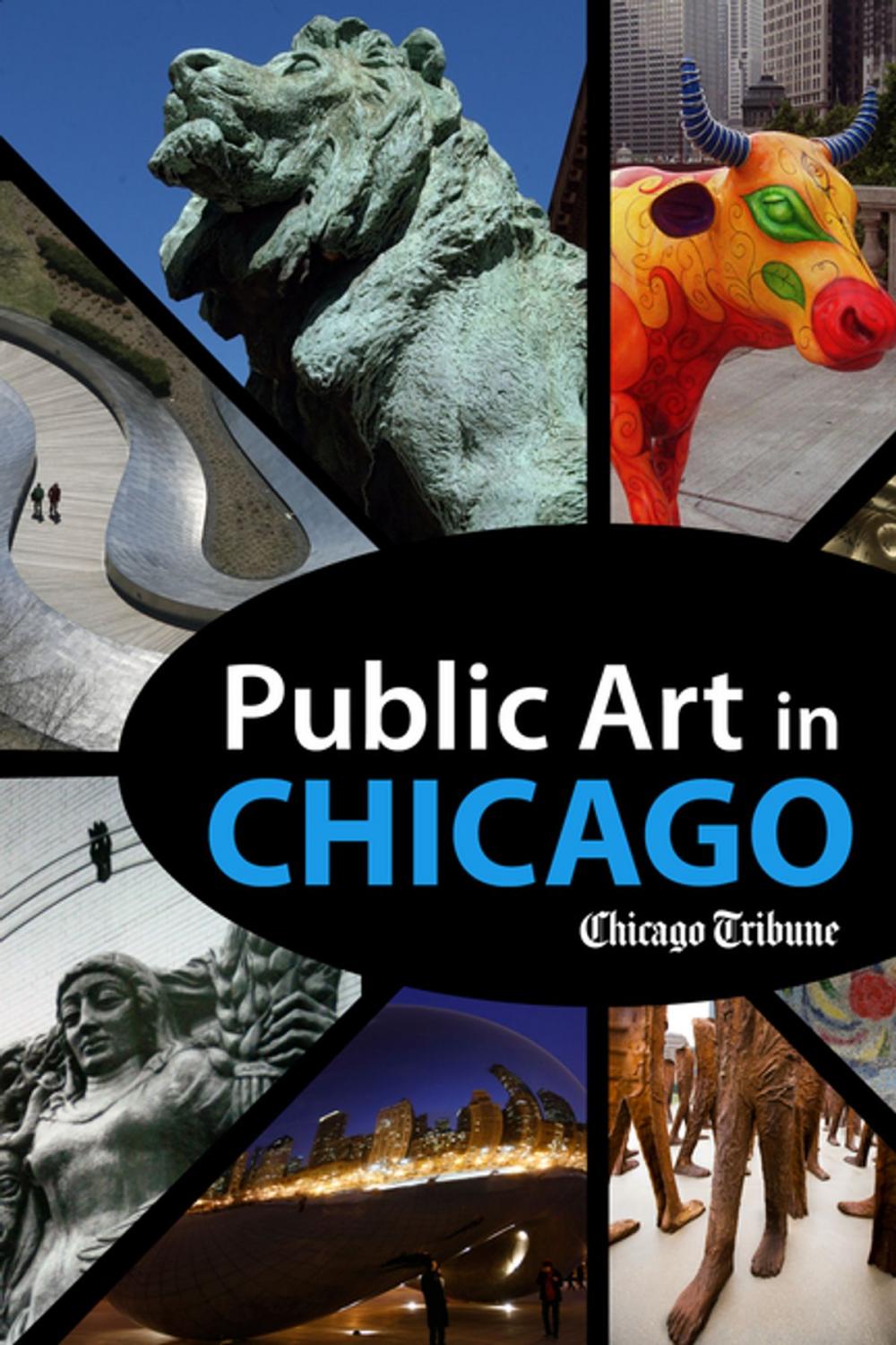 Big bigCover of Public Art in Chicago