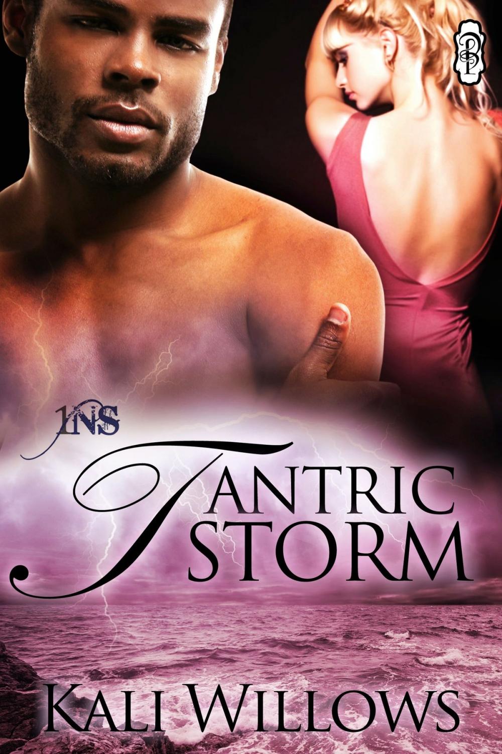 Big bigCover of Tantric Storm