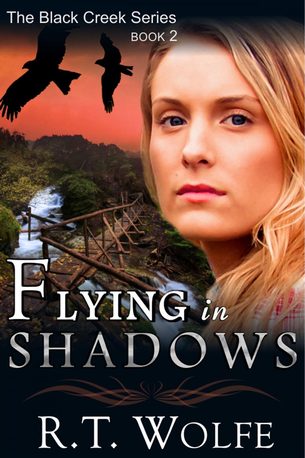 Big bigCover of Flying in Shadows (The Black Creek Series, Book 2)