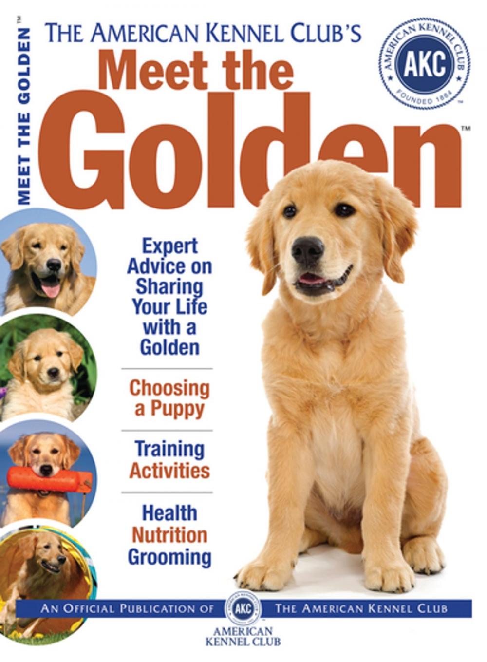 Big bigCover of Meet the Golden