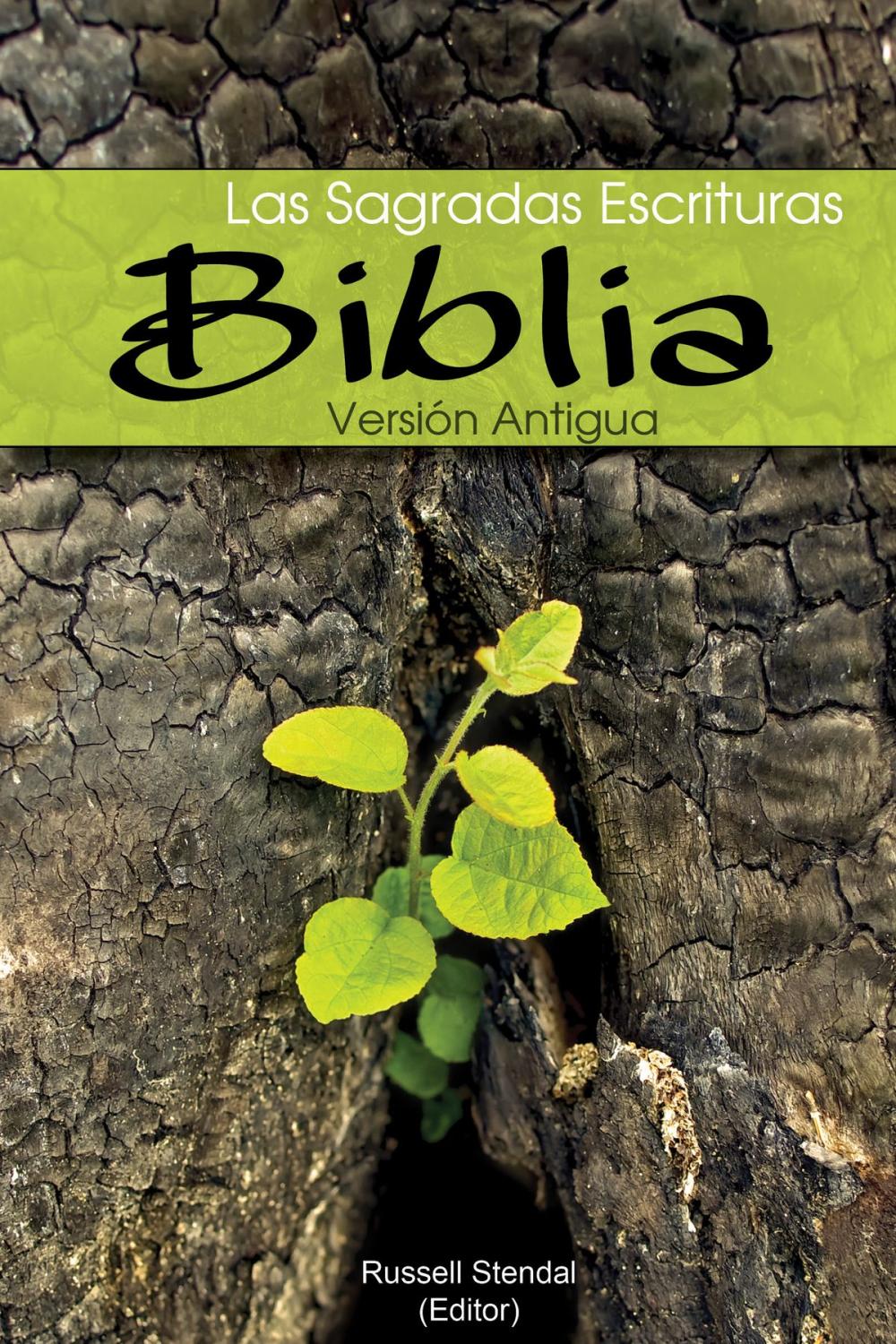 Big bigCover of Biblia del Jubileo (Las Sagradas Escrituras)