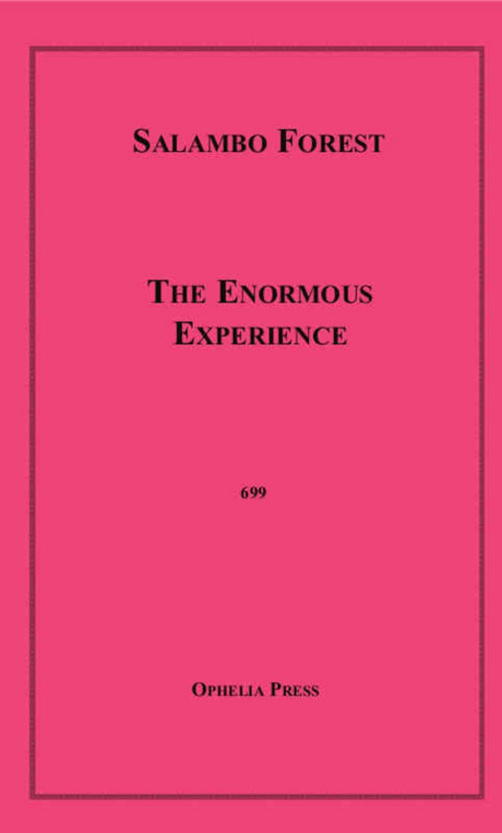 Big bigCover of The Enormous Experience