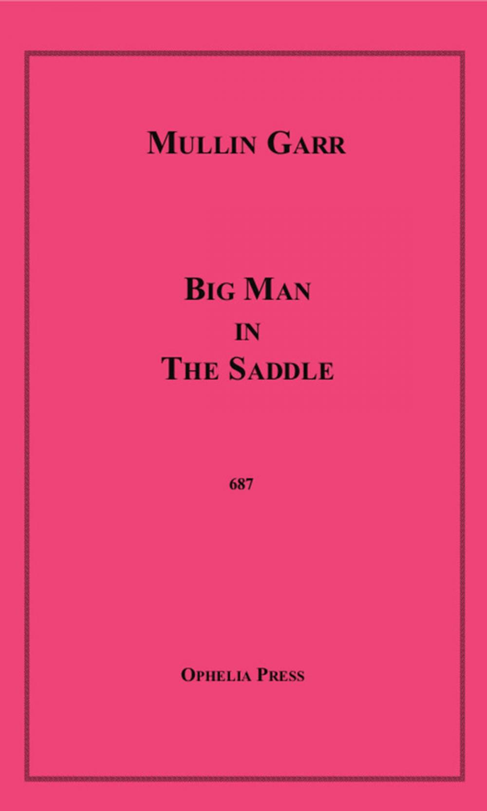 Big bigCover of Big Man in the Saddle