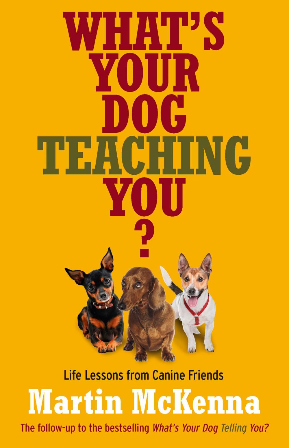 Big bigCover of What's Your Dog Teaching You?