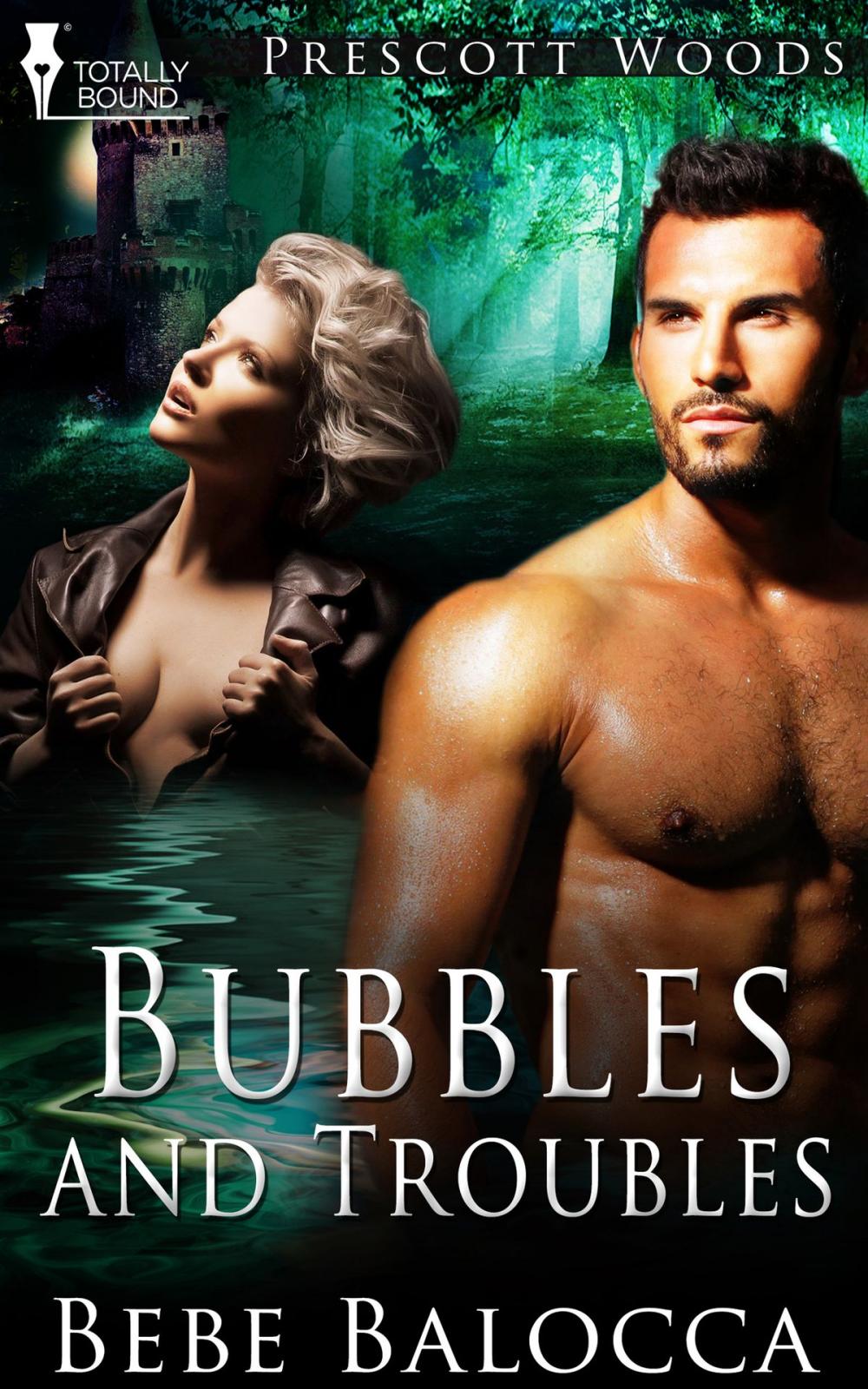 Big bigCover of Bubbles and Troubles