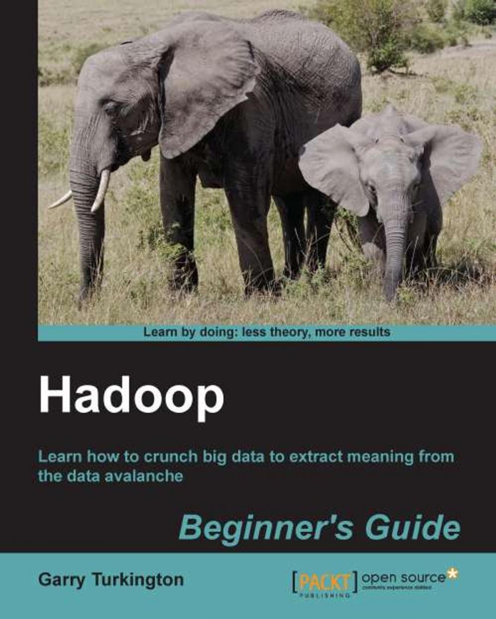 Big bigCover of Hadoop Beginner's Guide