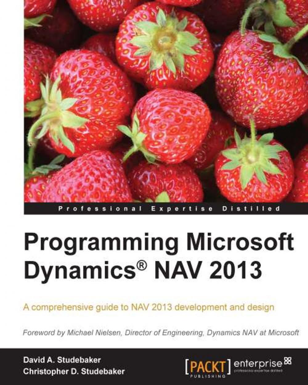 Big bigCover of Programming Microsoft Dynamicså¨ NAV 2013