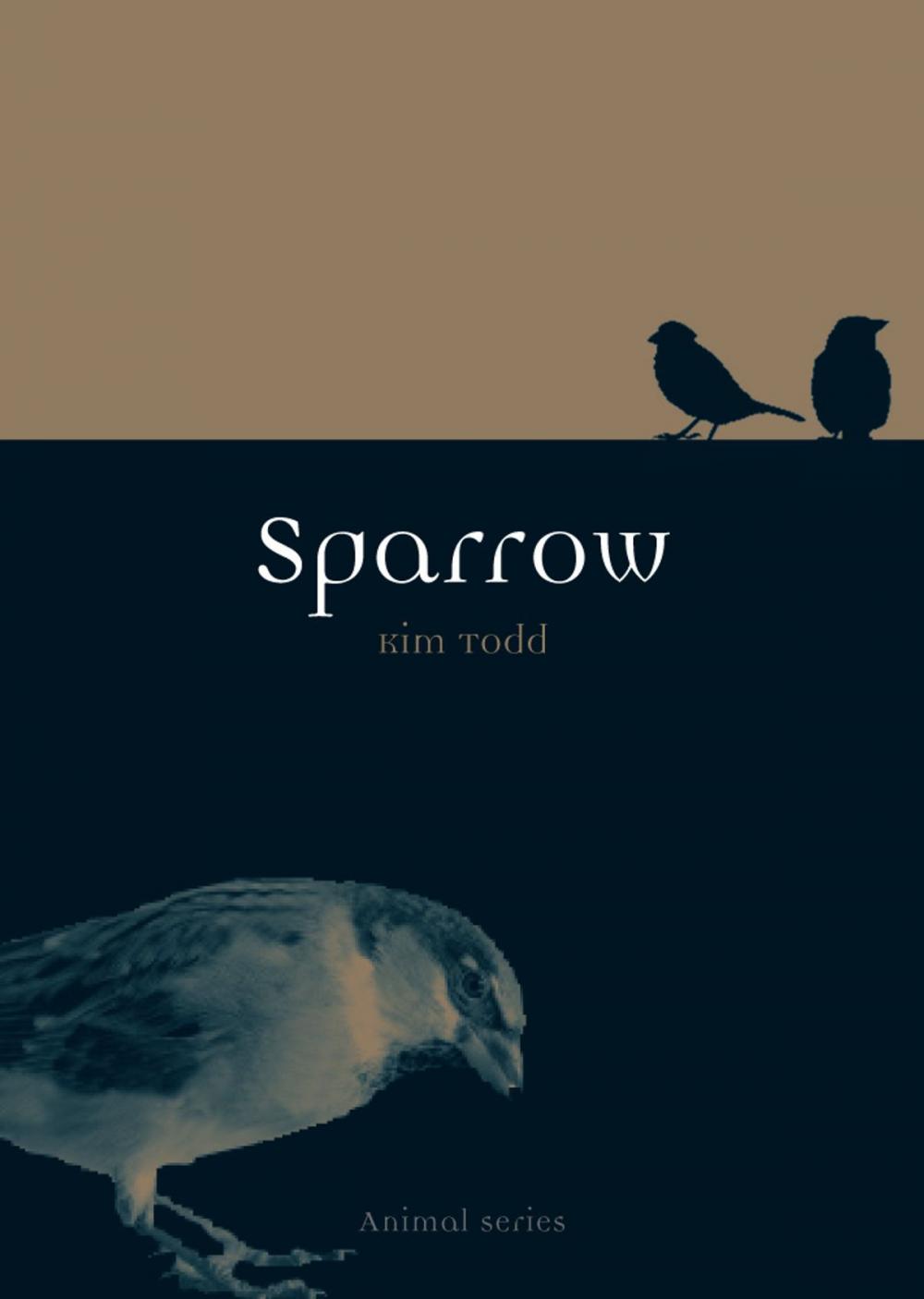 Big bigCover of Sparrow