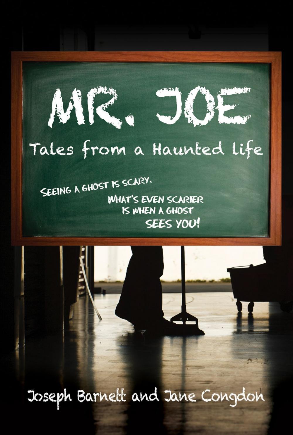 Big bigCover of Mr. Joe: Tales from a Haunted Life
