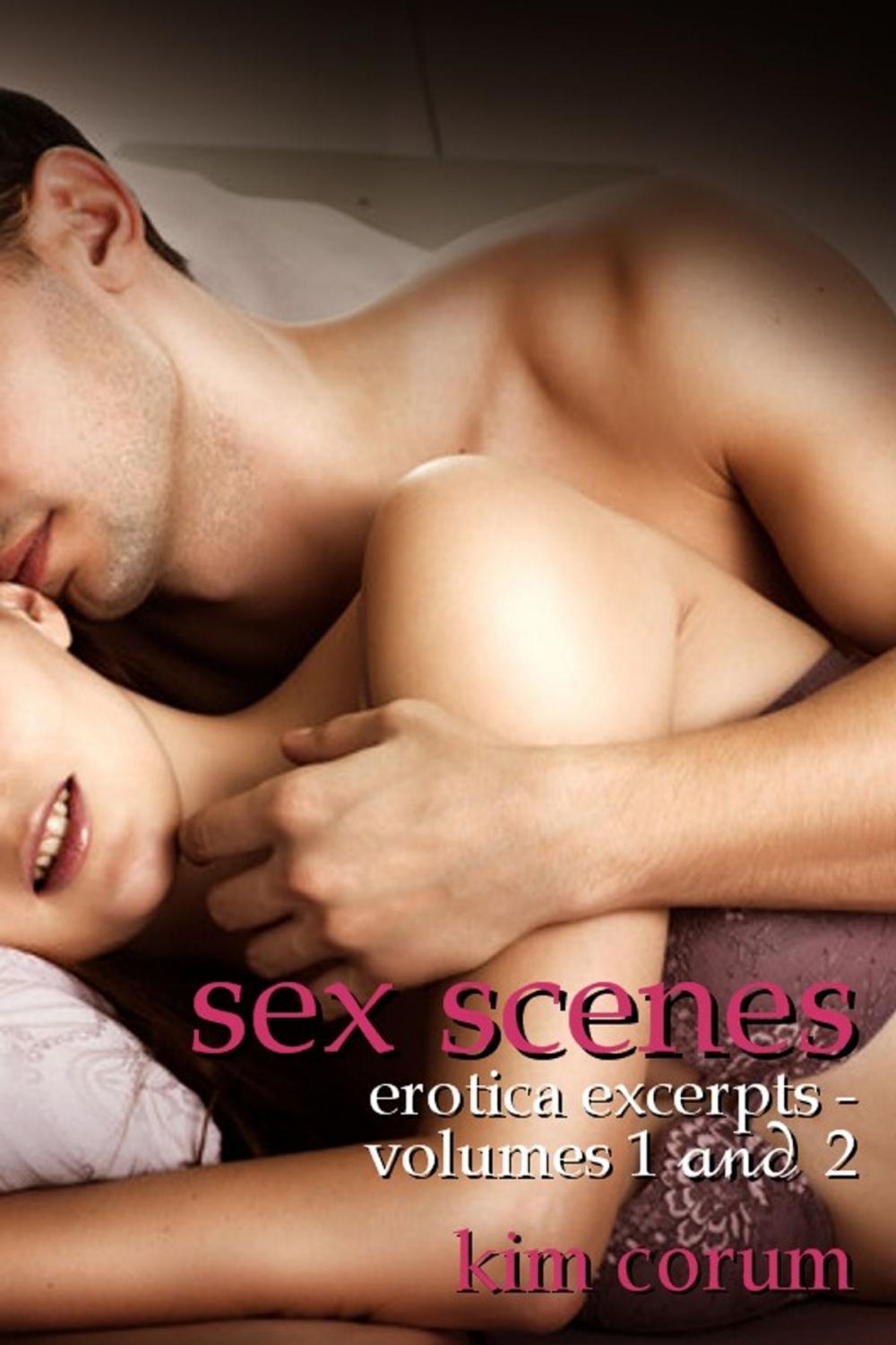 Big bigCover of Sex Scenes Erotica Excerpts