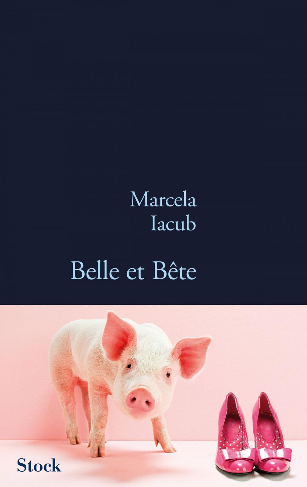 Big bigCover of Belle et bête