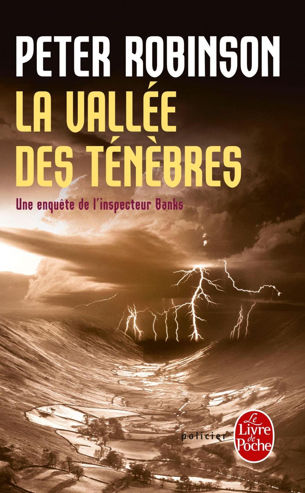 Big bigCover of La Vallée des ténèbres