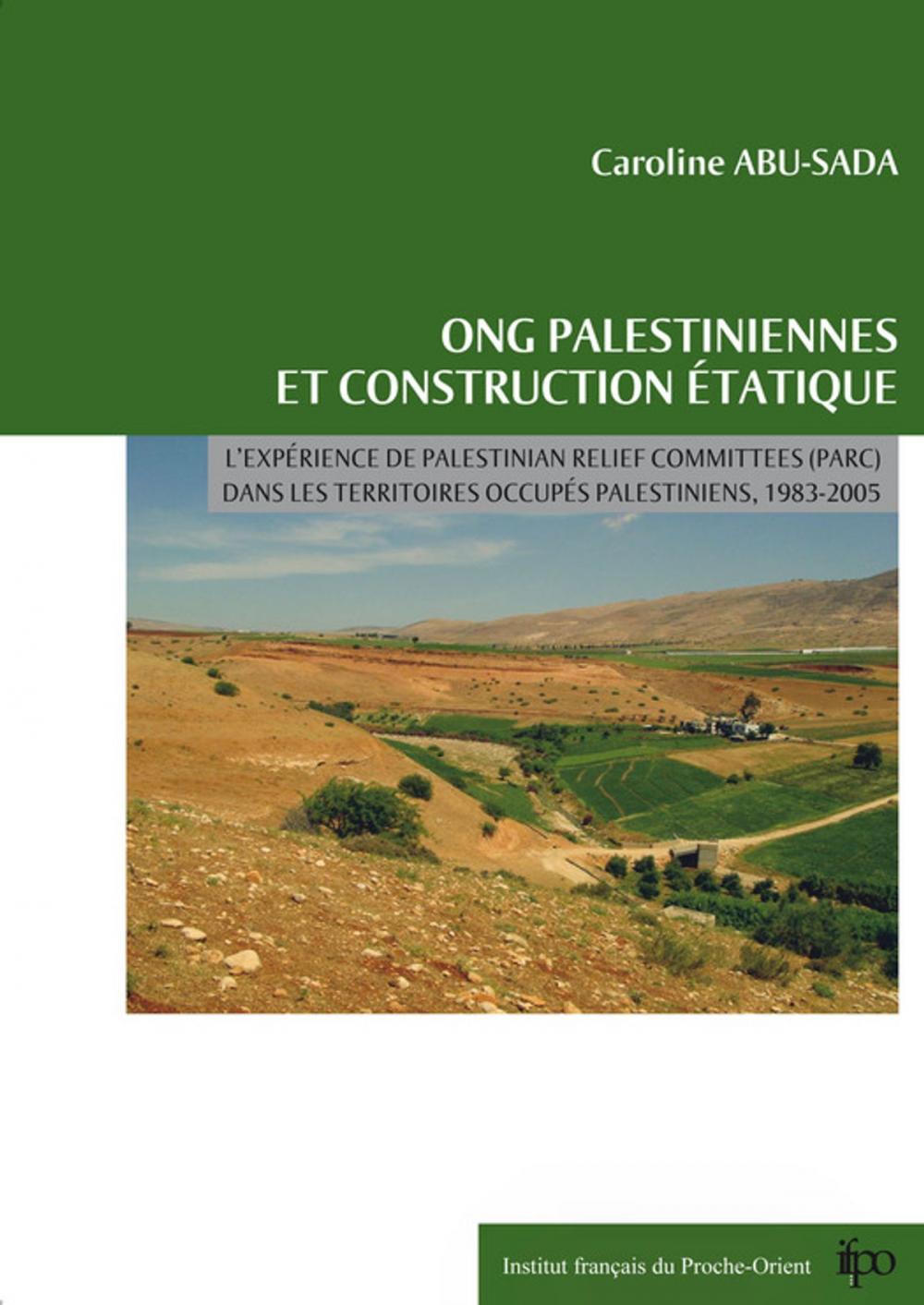 Big bigCover of ONG palestiniennes et construction étatique