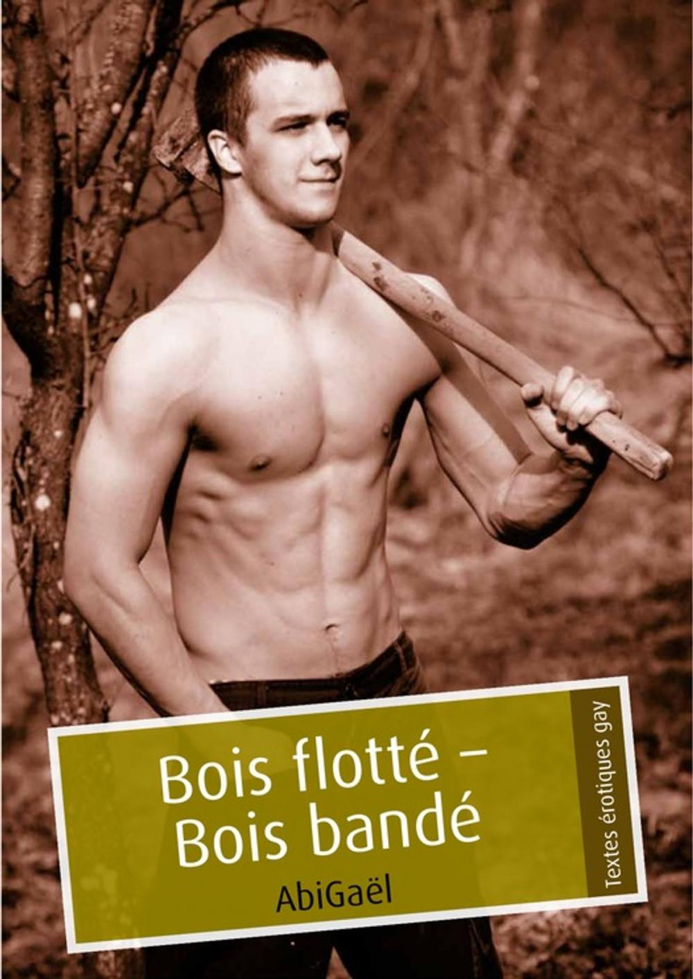 Big bigCover of Bois flotté - Bois bandé (pulp gay)