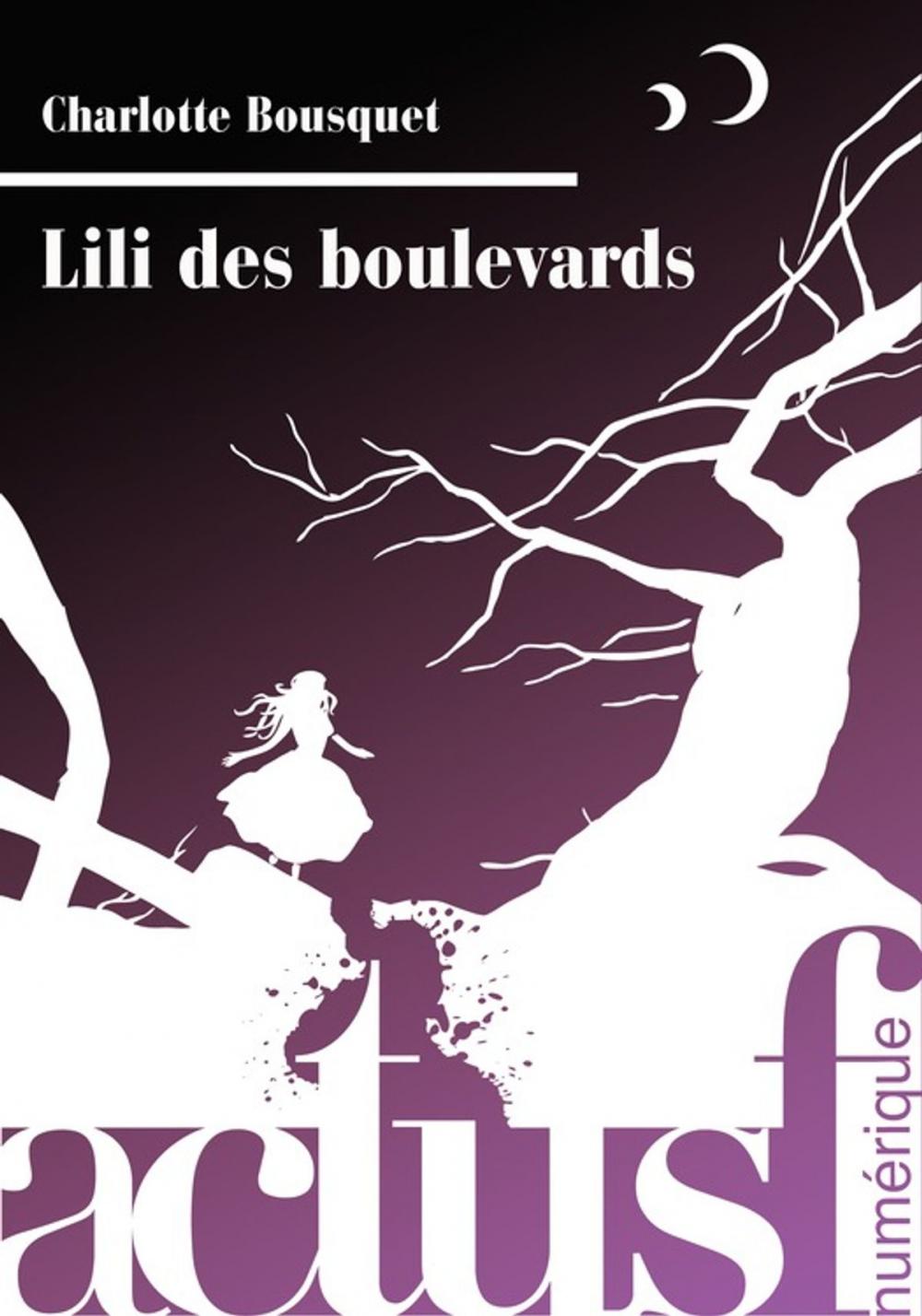 Big bigCover of Lili des boulevards