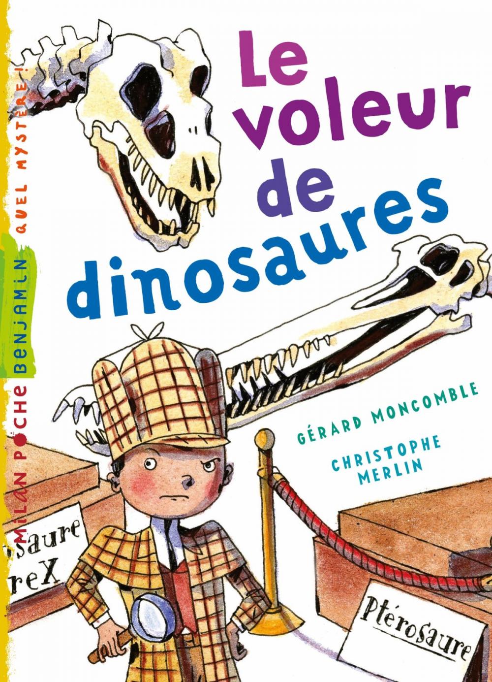 Big bigCover of Le voleur de dinosaures