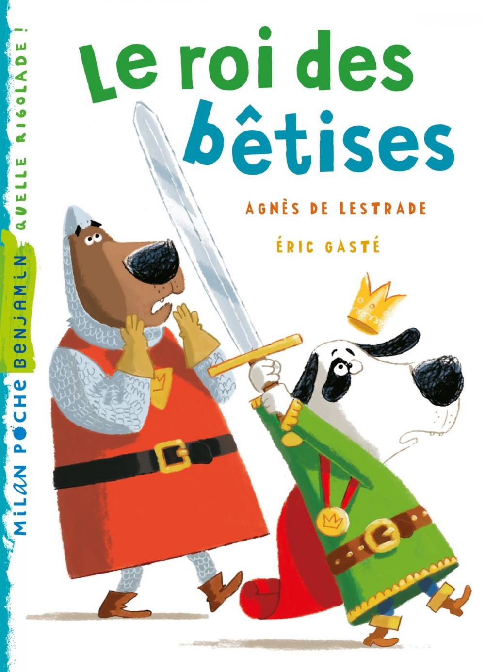 Big bigCover of Le roi des bêtises