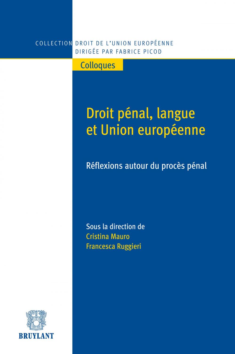 Big bigCover of Droit pénal, langue et Union européenne