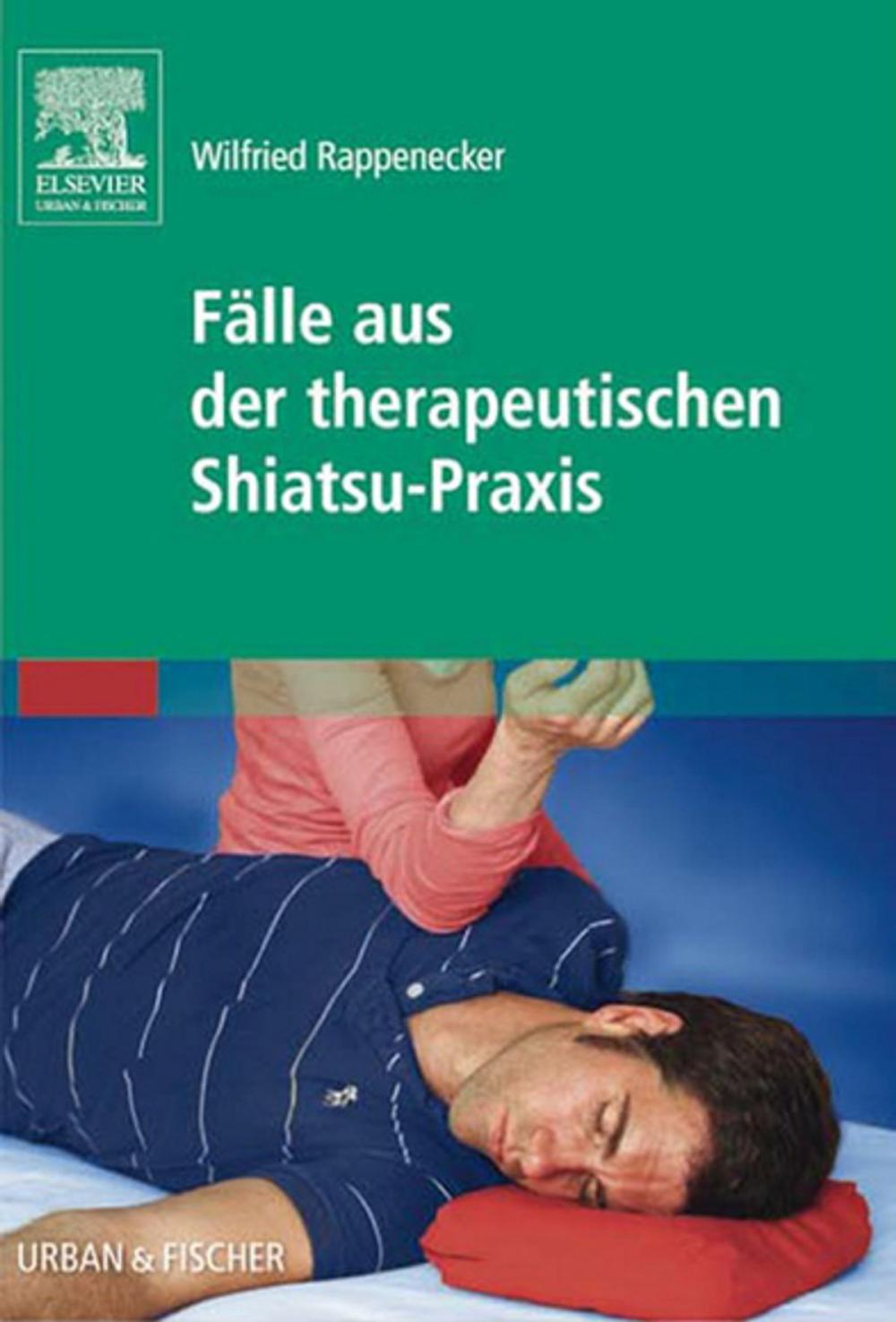 Big bigCover of Fälle aus der therapeutischen Shiatsu-Praxis