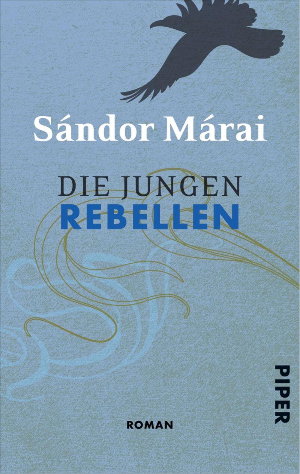 Big bigCover of Die jungen Rebellen