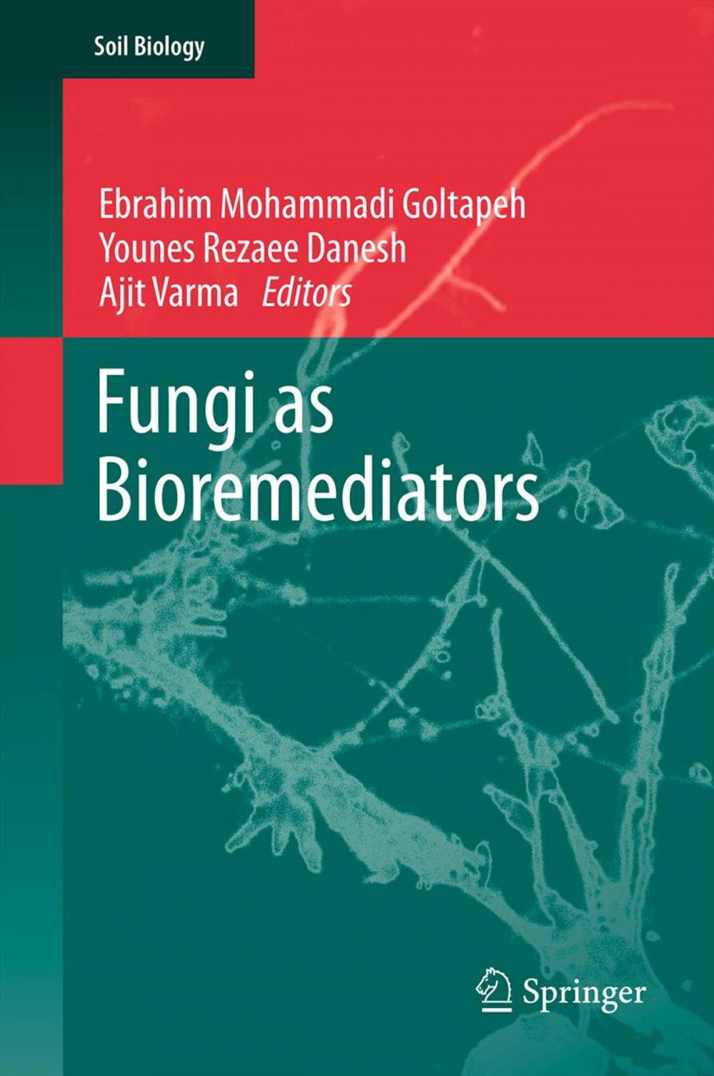 Big bigCover of Fungi as Bioremediators