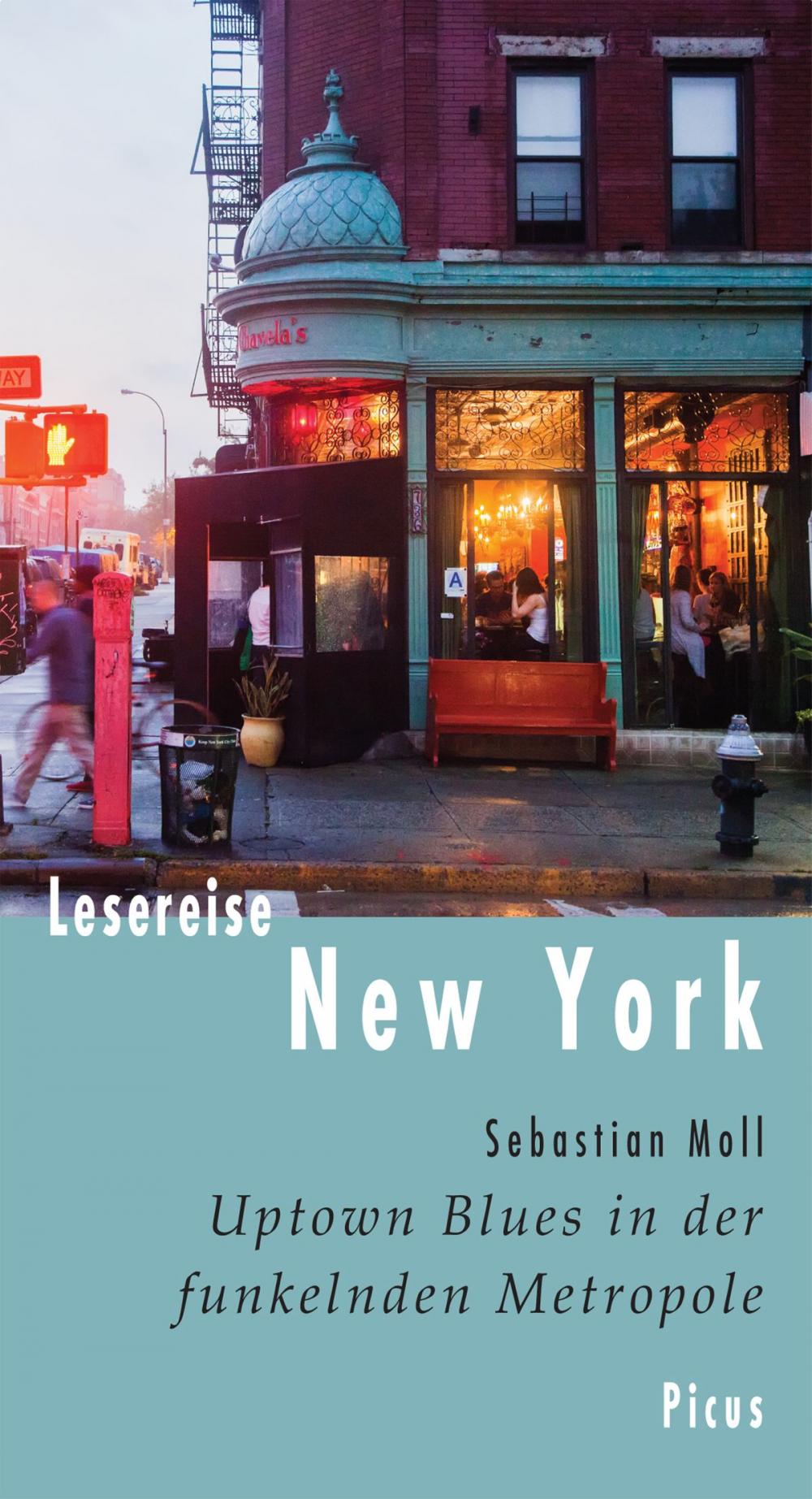 Big bigCover of Lesereise New York