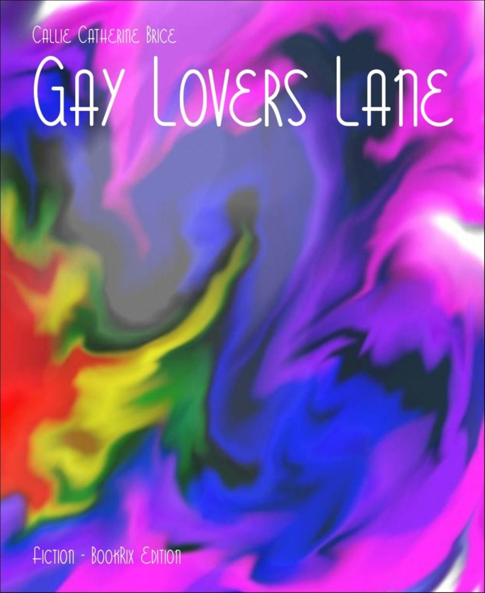 Big bigCover of Gay Lovers Lane