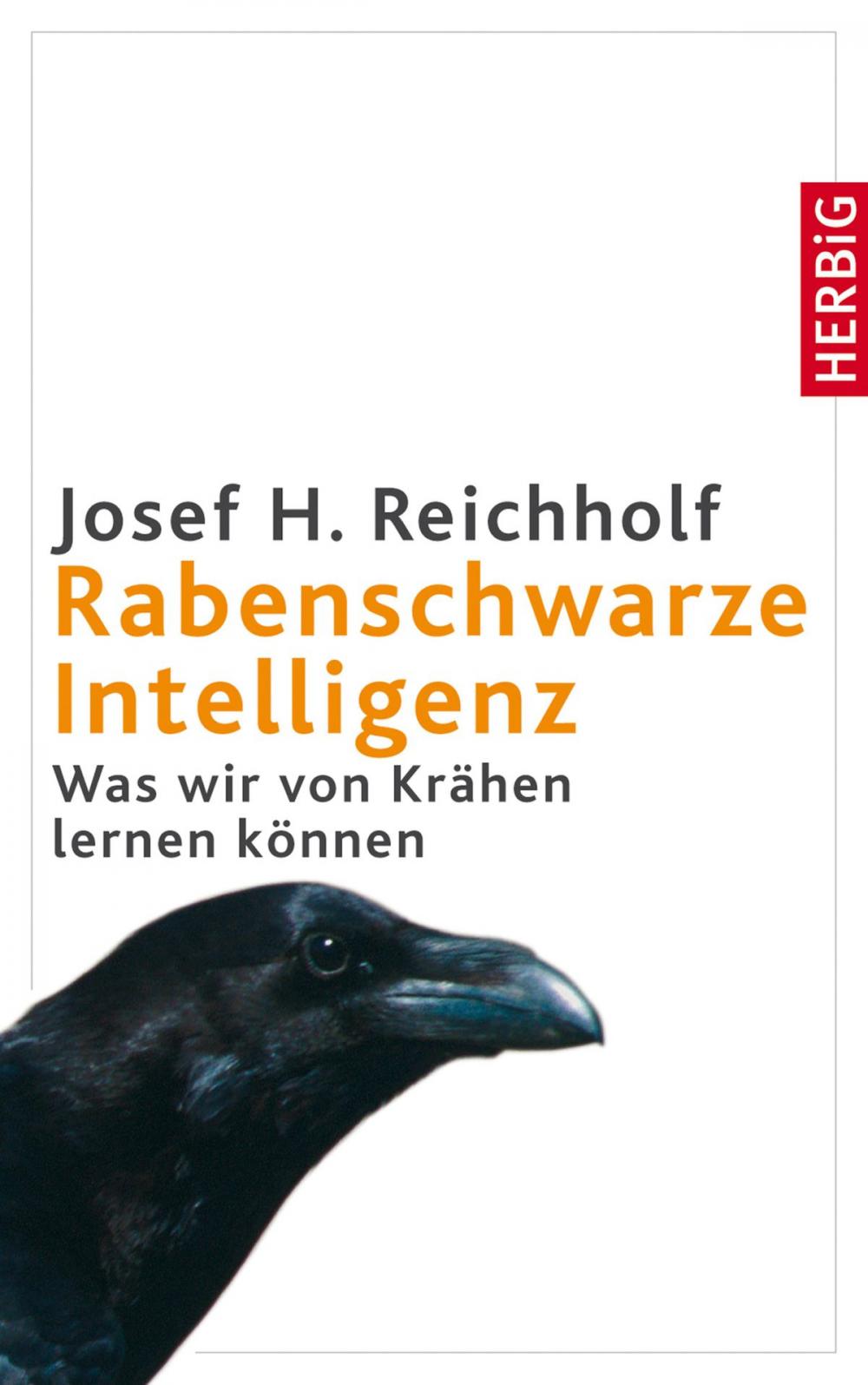 Big bigCover of Rabenschwarze Intelligenz