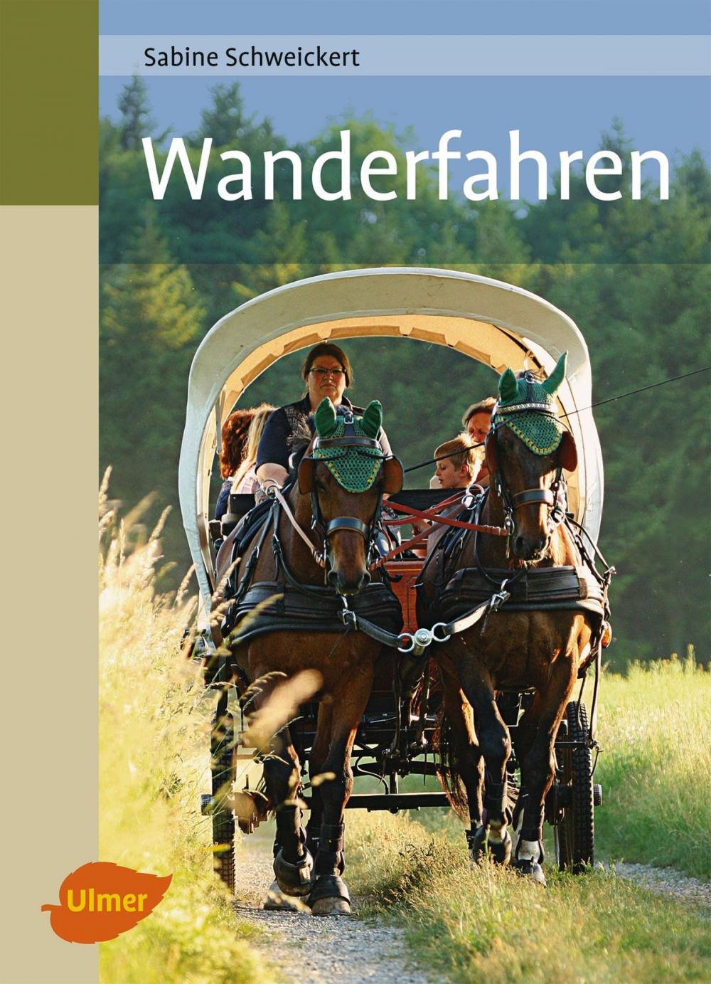 Big bigCover of Wanderfahren