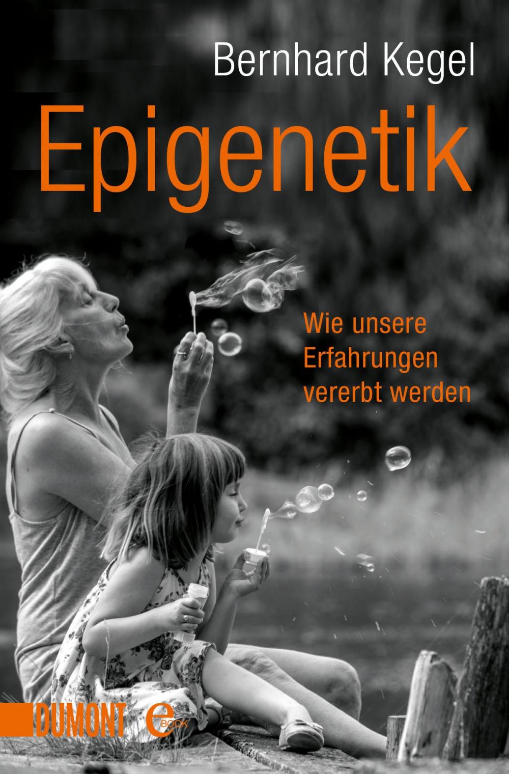 Big bigCover of Epigenetik