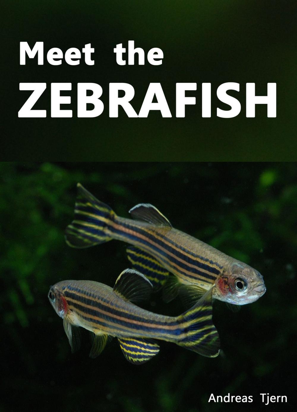 Big bigCover of Meet the Zebrafish. A Short Guide to Keeping, Breeding and Understanding the Zebrafish (Danio rerio) in Your Home Aquarium