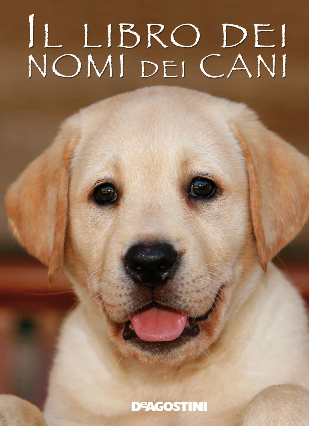 Big bigCover of Il libro dei nomi dei cani