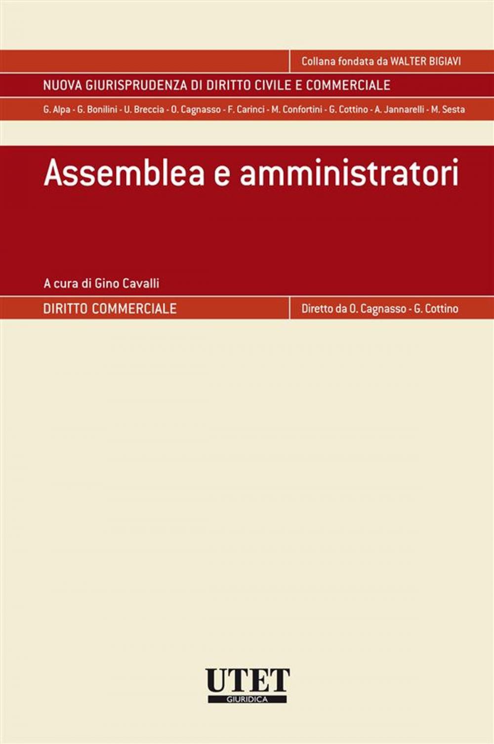 Big bigCover of Assemblea e amministratori