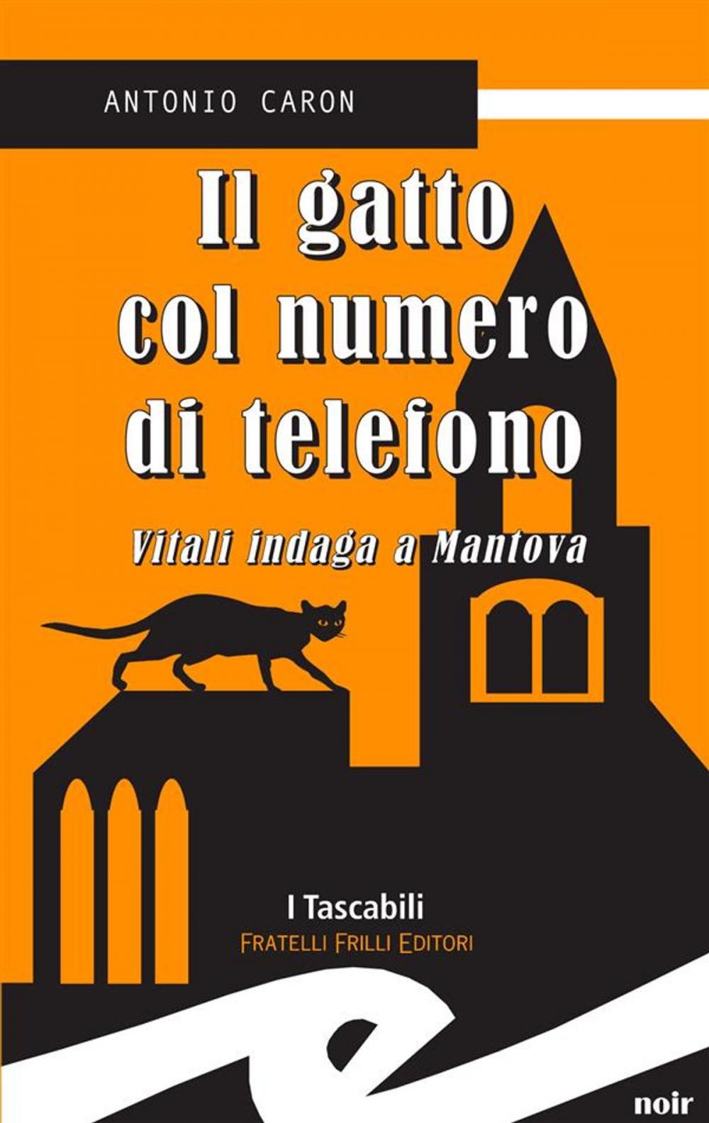 Big bigCover of Il gatto col numero di telefono. Vitali indaga a Mantova