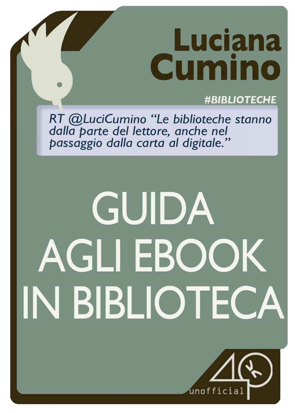 Big bigCover of Guida agli ebook in biblioteca