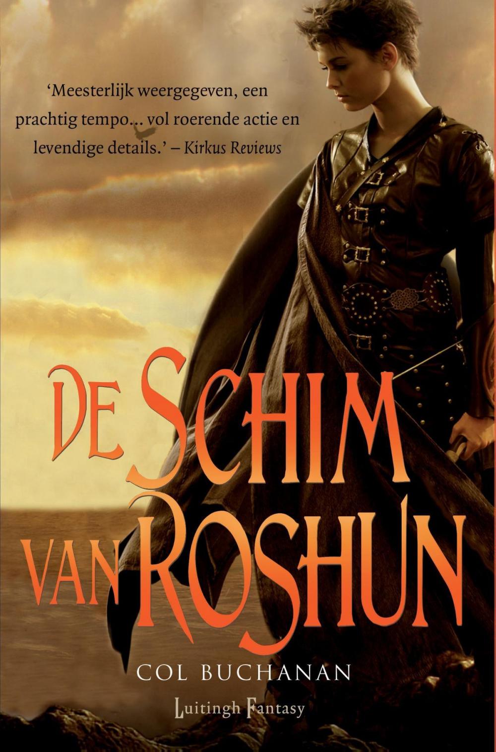 Big bigCover of De schim van Roshun