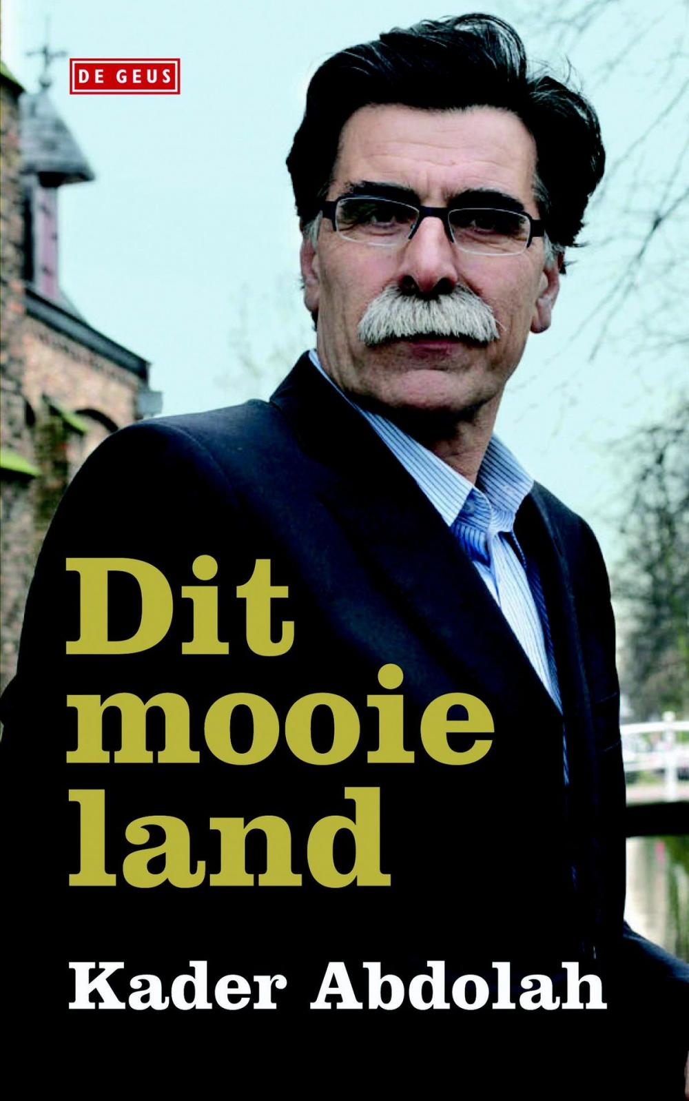 Big bigCover of Dit mooie land