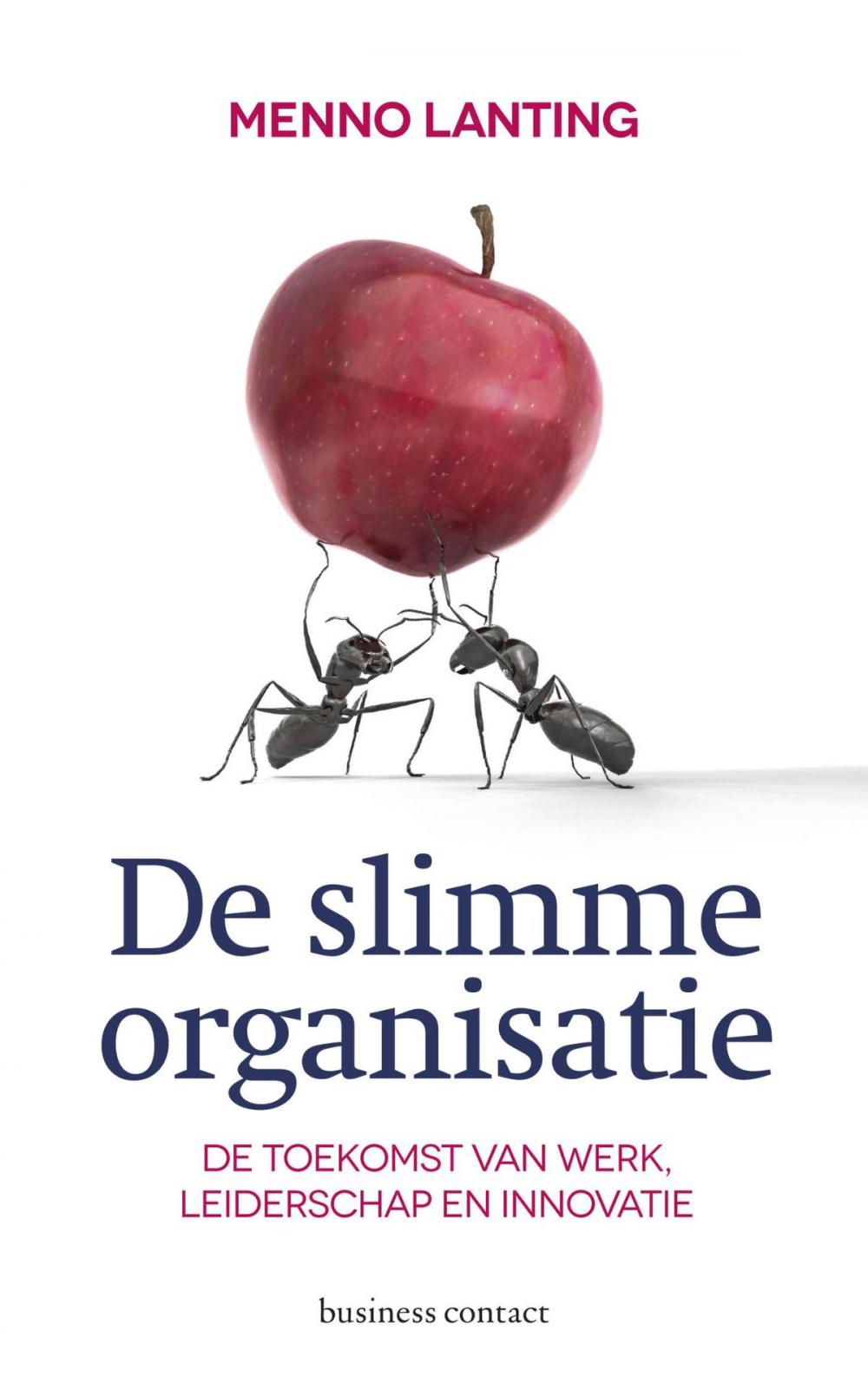 Big bigCover of De slimme organisatie