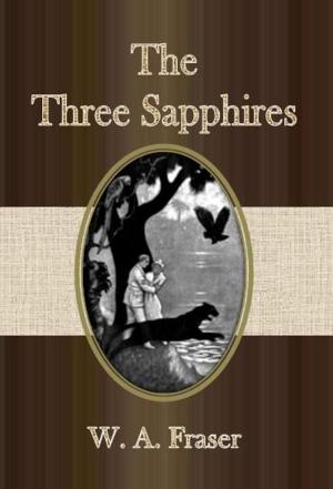 Cover of the book The Three Sapphires by L.T. Meade