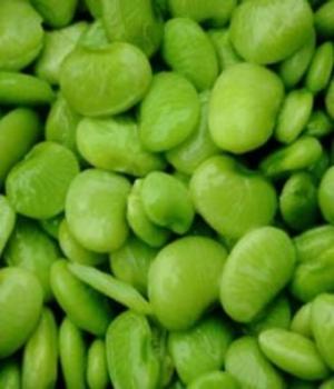 Cover of the book A Crash Course on How to Grow Lima Beans by Samantha Wilson