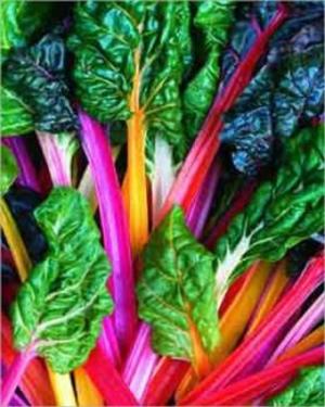 Cover of the book A Crash Course on How to Grow Swiss Chard by Wanda Garner