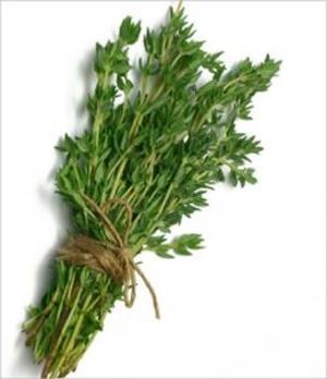 Cover of the book A Crash Course on How to Grow Thyme by Tom Baxter
