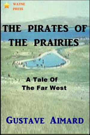 Cover of the book The Pirates of the Prairies by Katie Bright