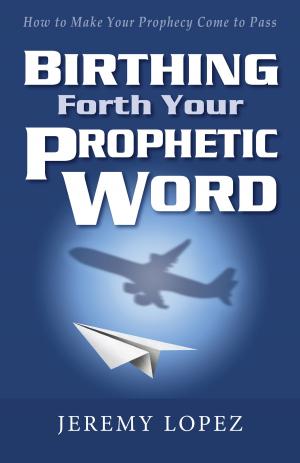 Cover of the book Birthing Forth Your Prophetic Word by Brian Mickelsen