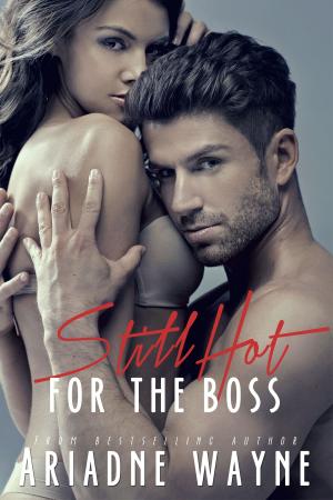 Cover of the book Still Hot For The Boss (Book 2) by Daniele Aiolfi