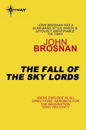 Cover of the book The Fall of the Sky Lords by John Glasby, Berl Cameron