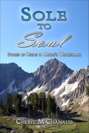 Cover of the book Sole to Soul by Miquel J. Pavón Besalú
